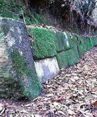 おつぼ山神籠石