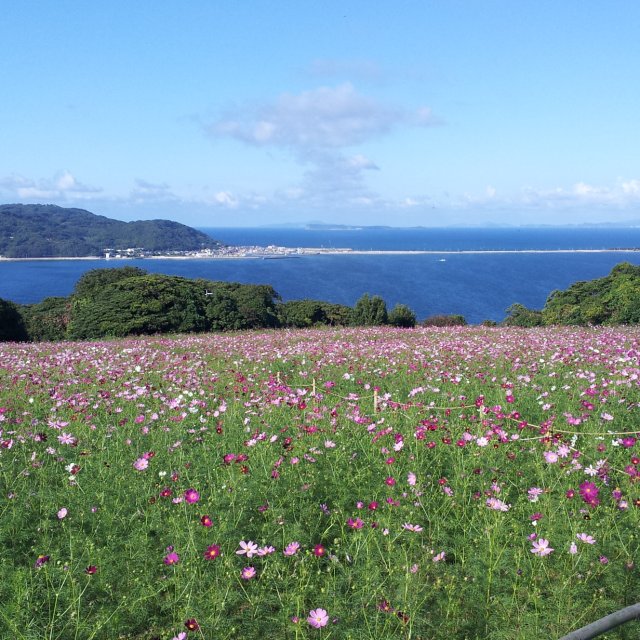 「君が代」は古代九州筑紫の王国の歌だった？